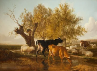 Canterbury Wiesen, Abend